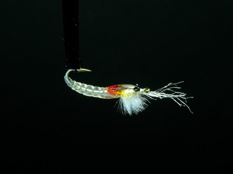 HMG Mysis Shrimp ... See my many hot melt glue patterns at  <a href="http://hmgflysystems.com">http://hmgflysystems.com</a>. Hot melt glue is a wonderful medium!