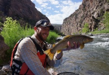 Fly-fishing Situation of brown trout - Image shared by James Corner – Fly dreamers