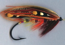 Fly for Atlantic salmon - Photo shared by Mike Boyer – Fly dreamers 