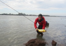 Golden Dorado Fly-fishing Situation – Joaquin Arias shared this Good Image in Fly dreamers 