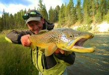 Mountain Made Media 's Fly-fishing Picture of a Brown trout – Fly dreamers 