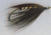 Gold Heron Spey fly