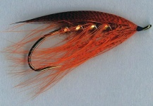 Little Orange Spey fly