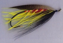 Skykomish Dark Spey fly