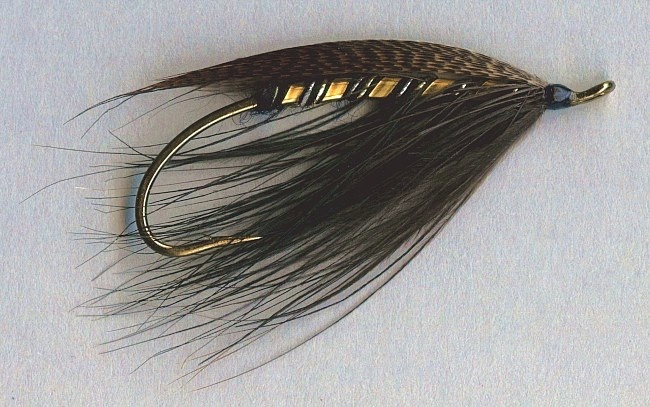 Gold Heron Spey fly