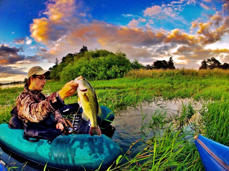 Friends 2.6 lber. Fish busted up through this grassy jungle to hit a popper.