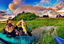 Fly-fishing Pic of Largemouth Bass shared by Sam Brost-Turner – Fly dreamers 