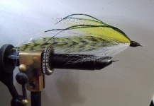 Fly Tier Bass & Saltwater