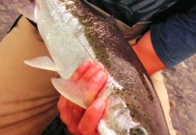  Fotografía de Pesca con Mosca de Steelhead por Jay Perry – Fly dreamers 