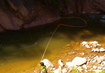 Eggen river (BZ), Italy 26-06-2013