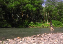  Interesante Situación de Pesca con Mosca de Steelhead– Foto por Jay Perry en Fly dreamers