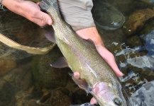  Foto de Pesca con Mosca de Cutthroat compartida por Peter Breeden – Fly dreamers