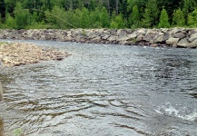 Atlantic salmon Fly-fishing Situation – Martin Arcand shared this Cool Image in Fly dreamers 