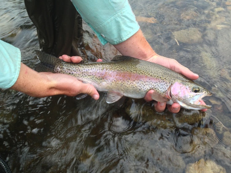 Beautiful rainbow.