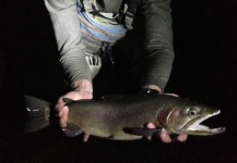  Foto de Pesca con Mosca de Trucha arcoiris por Peter Breeden – Fly dreamers 