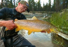 Brown Trout On the Fly by Mountain Made Media - Fly dreamers