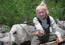 Fly-fishing Pic of Brown trout shared by Pancho Winter – Fly dreamers 