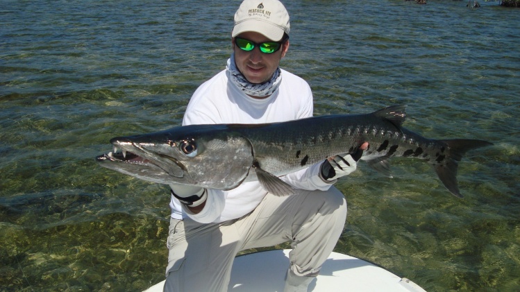 Barracuda de casi 1,5 metros pescada a pez visto en medio metro de agua........... un MISIL!!!!!!!!!!!!!!!!