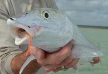  Imagen de Pesca con Mosca de Bonefish compartida por Ben Jorden – Fly dreamers