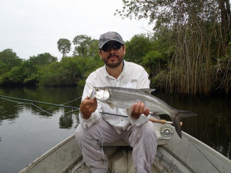 Baby Tarpon