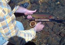 Dave Bradley 's Fly-fishing Photo of a Golden Trout – Fly dreamers 