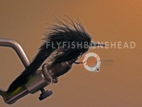 Fly fishing picture