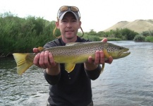 Wyoming Brown Trout Fishing