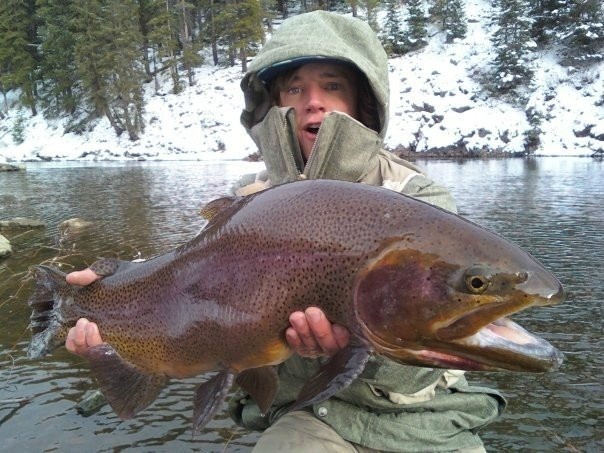 My first massive trout. Beast of a Cutbow from about 6 years back.