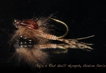 Fly for Apache trout - Image by Fabrizio Gajardoni – Fly dreamers 