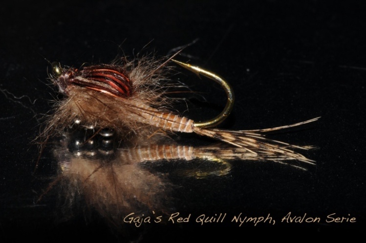 Avalon nymph.Three yars ago I was in tying Avalon crabs for a friend and looking at this nice fly I try to tie this fly with micro tungsten bead. Tested on the last three years had a good results on fishing trout and grayling. Naturally is possible any ki