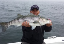 cape cod monomoy rips