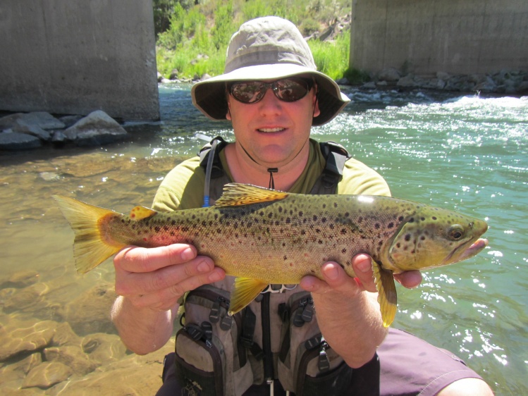 Truckee River - 07/13/13