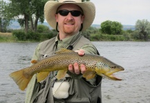 Fly-fishing Picture of Brown trout shared by Brady Fackrell – Fly dreamers