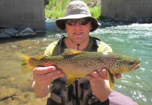 Ryan Swanson 's Fly-fishing Catch of a Brown trout – Fly dreamers 