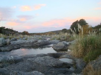 Fly fishing picture