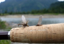  Fotografía de Entomología y Pesca con Mosca por La Vaguada  Fly Fishing – Fly dreamers