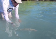 Bonefish Fly-fishing Situation – Franco Rossi shared this Good Pic in Fly dreamers 