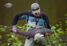 Fly-fishing Photo of Taimen shared by Nikolay Rudnev – Fly dreamers 