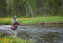 Lenok trout Fly-fishing Situation – Nikolay Rudnev shared this () Image in Fly dreamers 