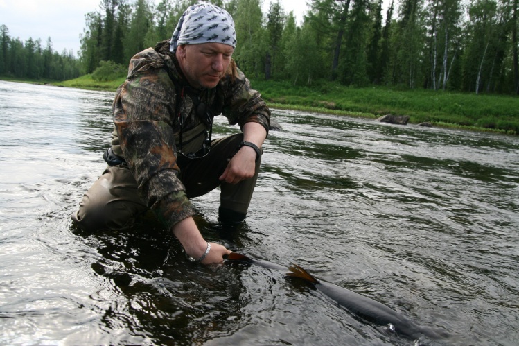 only caught and carefully released booking@trueadventure.ru