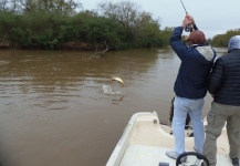 Pescando Dorados