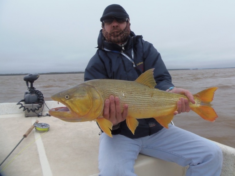 Dorado en Villa Constitucion -  mucho frio !! 