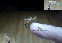 Cool Fly-tying Photo shared by Sergio Córdoba – Fly dreamers 