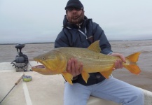 Ezequiel Sascaro 's Fly-fishing Picture of a Golden Dorado – Fly dreamers 