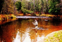 Cool Fly-fishing Situation Photo by Tomasz Talarczyk 