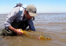 Franco Rossi 's Fly-fishing Picture of a Golden Dorado – Fly dreamers 