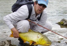 Ezequiel Sascaro 's Fly-fishing Picture of a Golden Dorado – Fly dreamers 