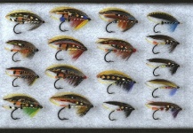 Dr. T.E. Pryce-Tannatt Salmon fly patterns.