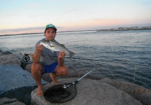 Fly-fishing Photo of Striped Bass shared by JP Maley – Fly dreamers 