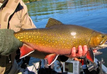 Randy Beamish 's Fly-fishing Pic of a Brook trout – Fly dreamers 